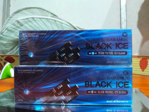 Garamos Black Ice บุหรี่เย็น ❄️