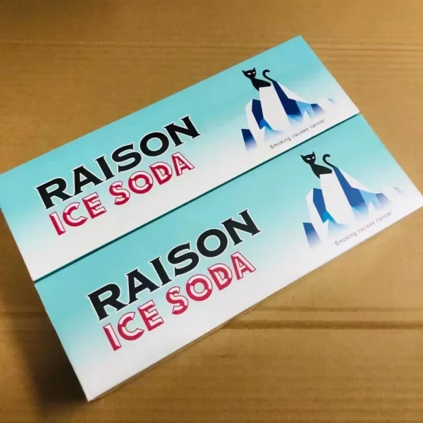 Raison Ice Soda 🍃