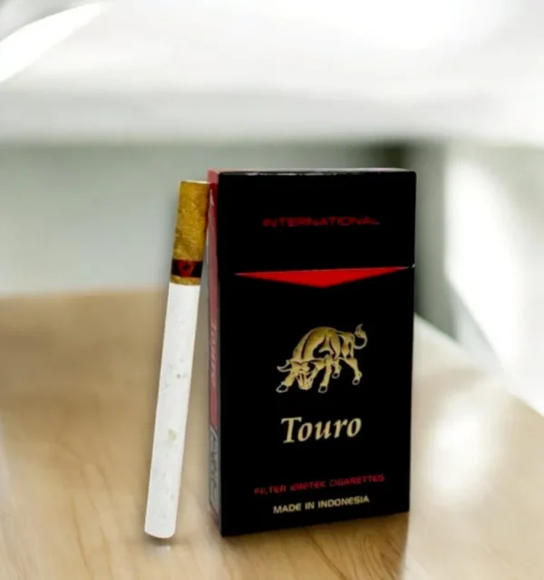 Touro International ความคิดเห็น 🗨️