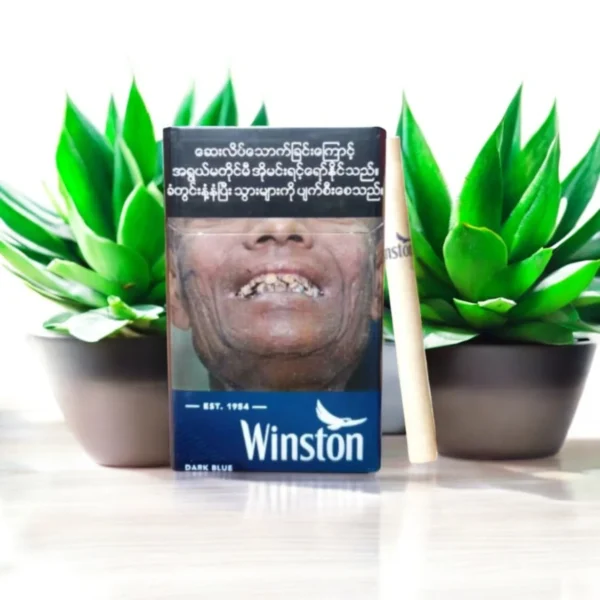 Winston Dark Blue ประสบการณ์สูบ 🚬