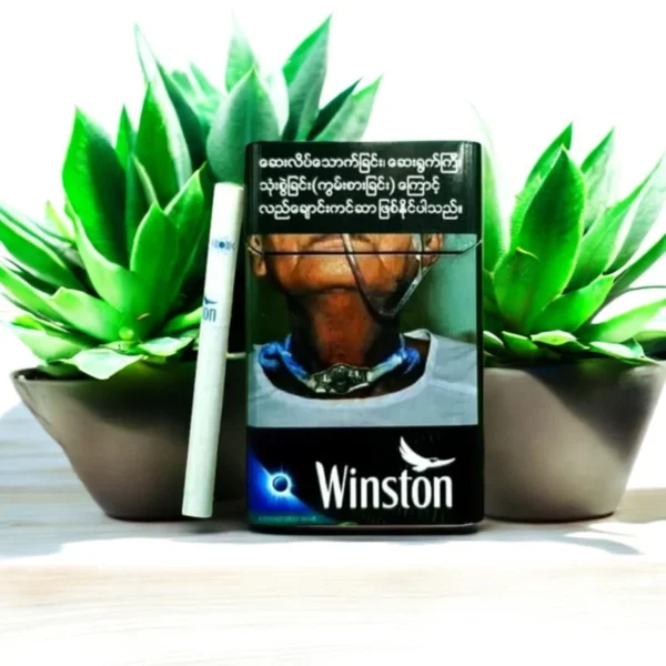 Winston Deep Blue เปรียบเทียบ ⚖️