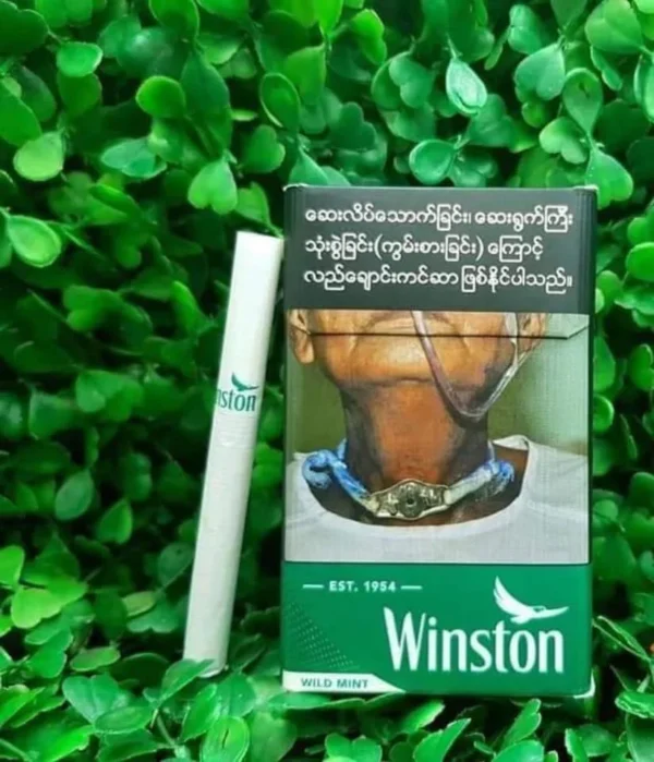 Winston Wild Mint 🥶