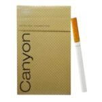 Canyon Light ส่งฟรี