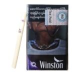 Winston Purple Mint ส่งฟรี