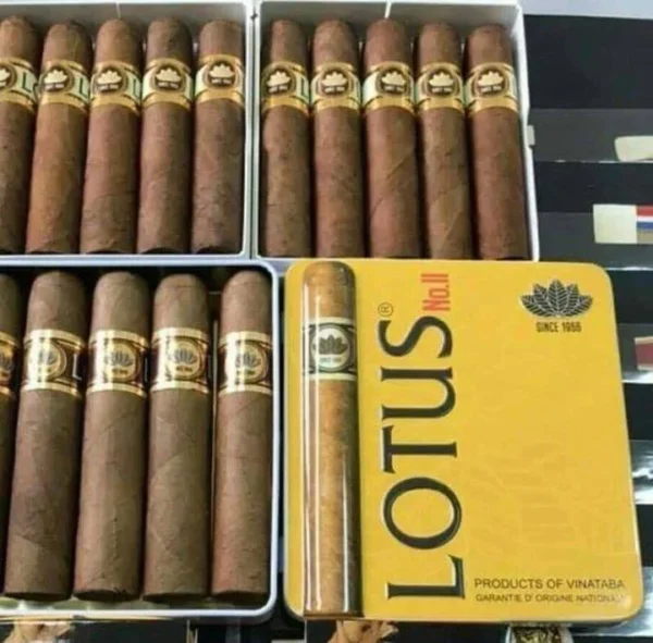 Lotus No.II ซิการ์