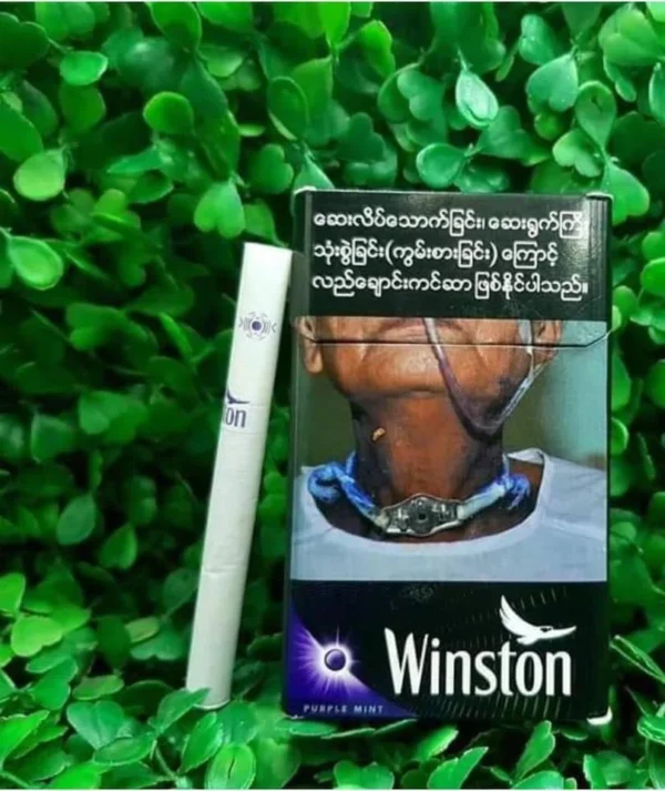 Winston Purple Mint