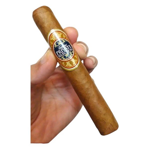 amous Private 5×51 ส่งฟรี