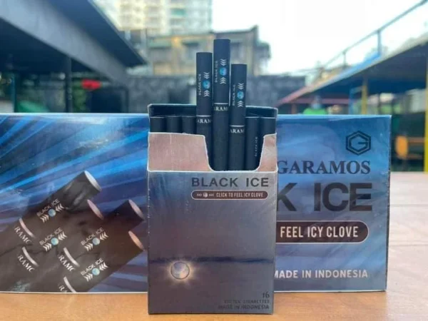 Garamos Black Ice ประวัติ 📖