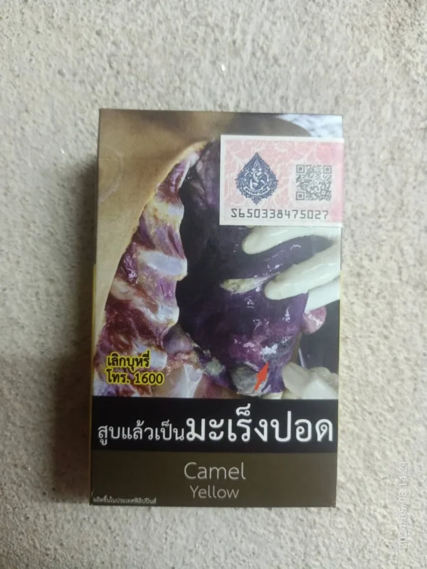 Camel Yellow บุหรี่ 🚬