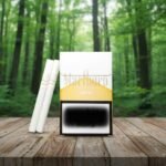 ซองบุหรี่ Marlboro Gold และมวนบุหรี่วางบนโต๊ะไม้ในป่าธรรมชาติ แสงแดดส่องรำไร