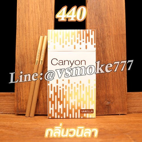 You stopped this response